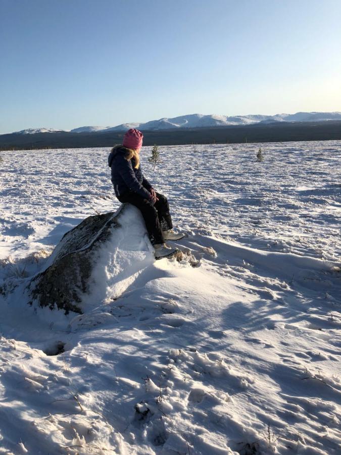 Valagardens Vaerdshus Och Camping Ab Vålådalen Exterior foto